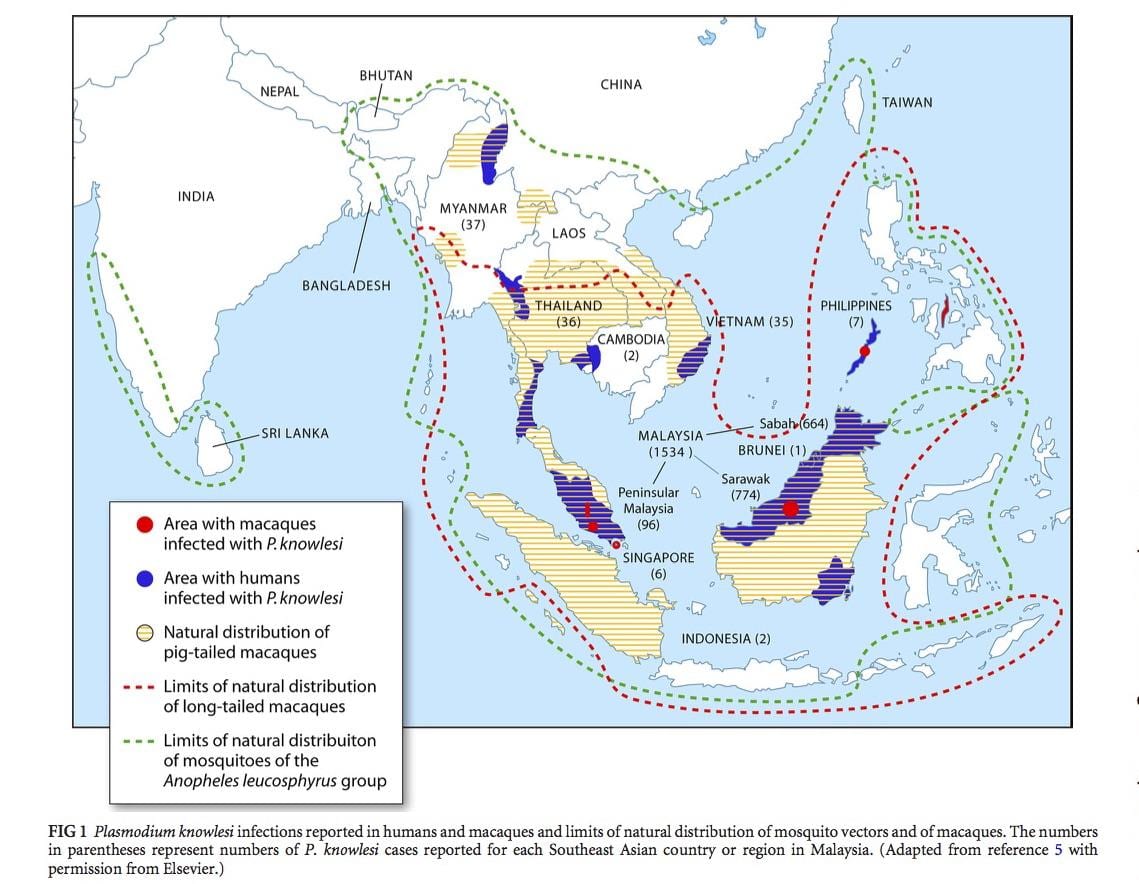 kort over malaysia malaria