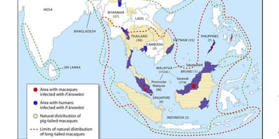 Kort over malaysia malaria